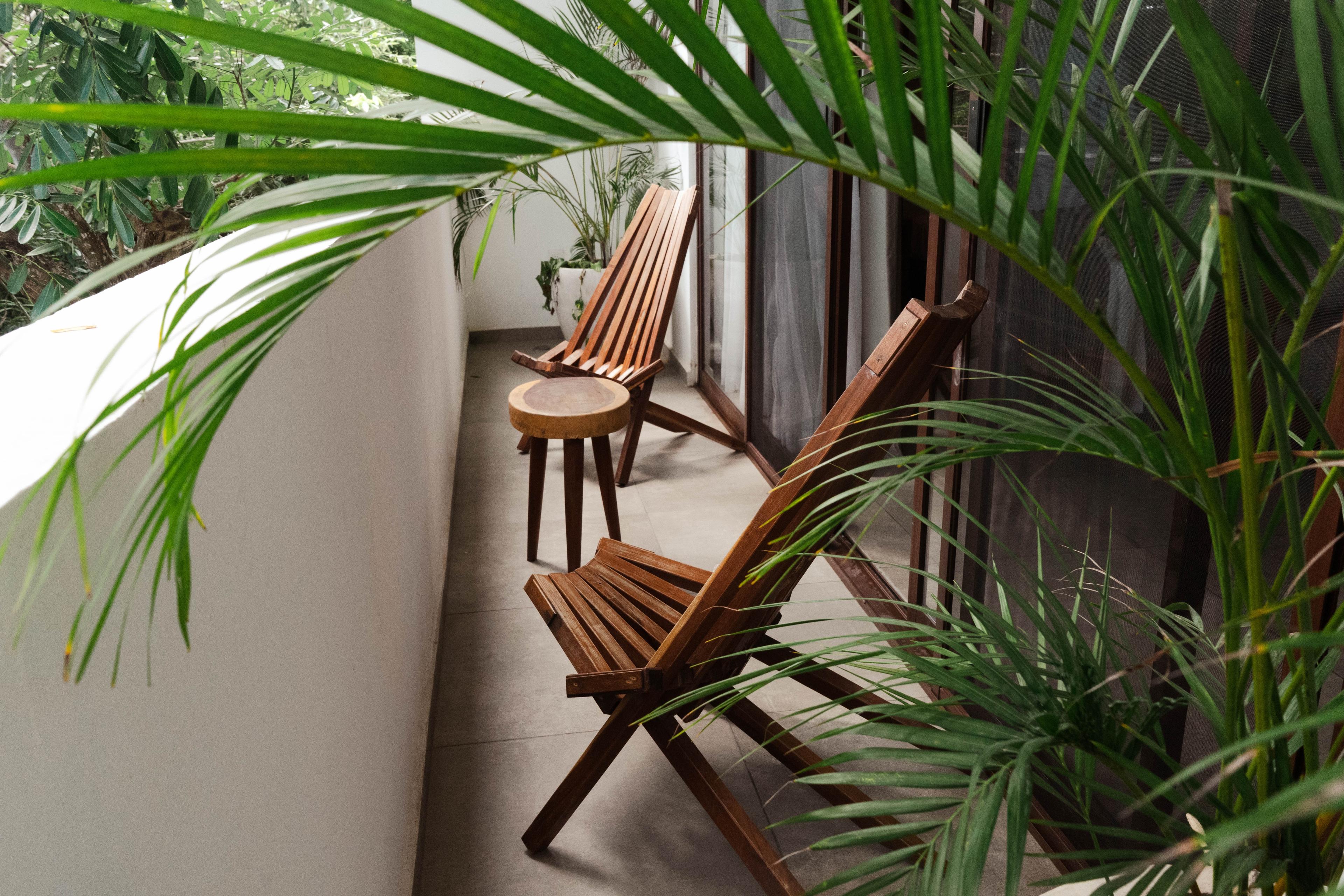 Beige terrace with two wooden chairs and palm loooking plants